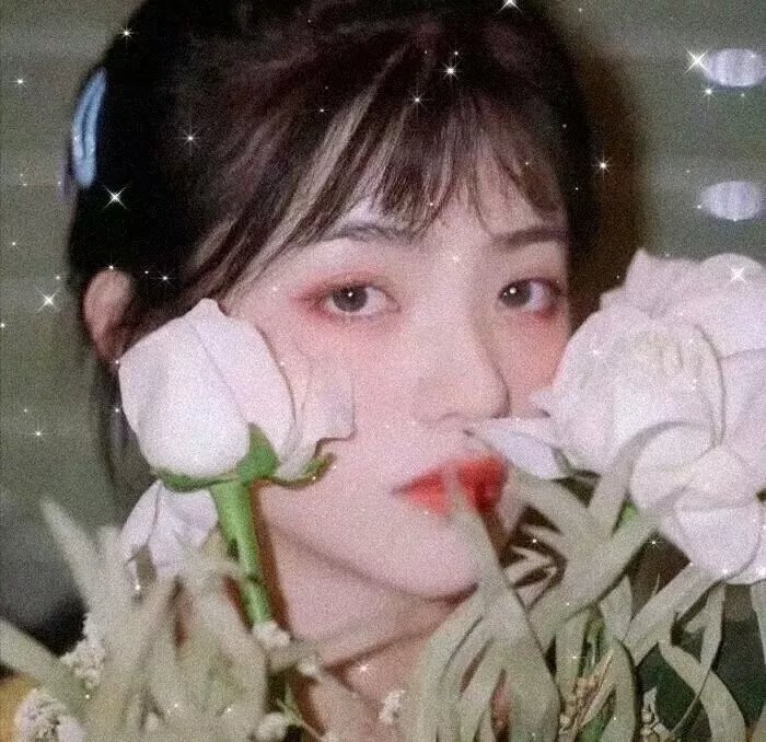 胭脂狐